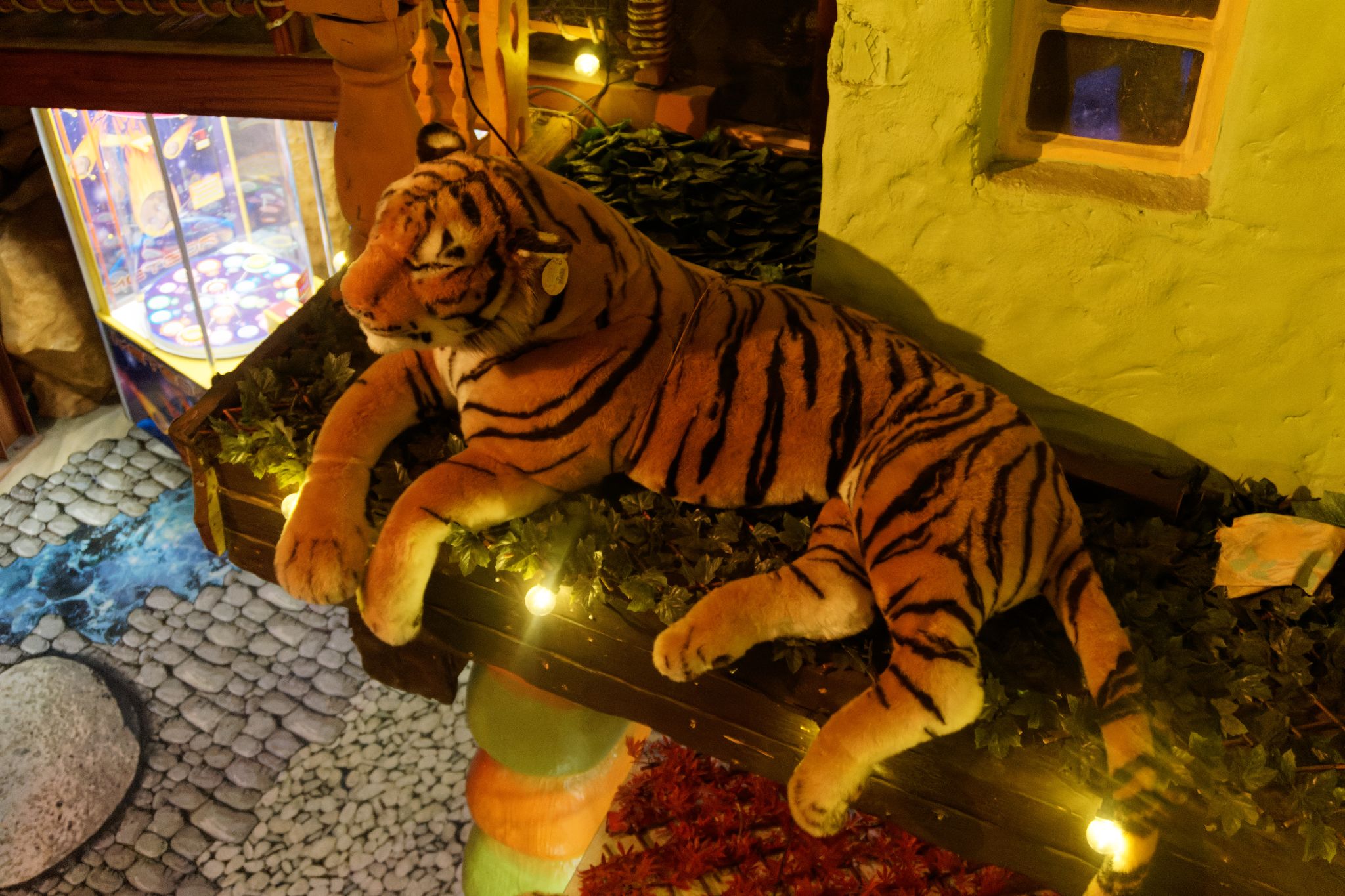 DSC00659