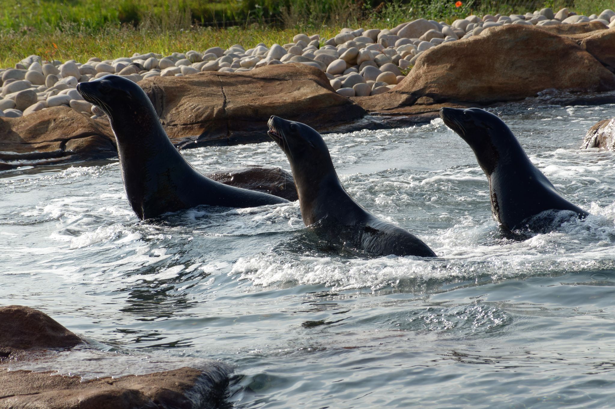 September 2021: Yorkshire Wildlife Park